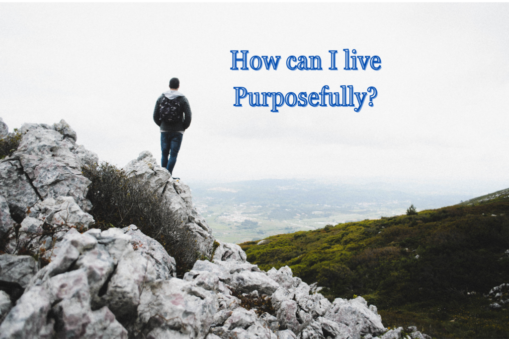 Blog How Can I Live Purposefully